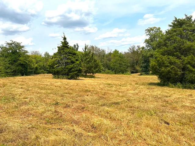 a view of yard with swimming pool and trees in the background