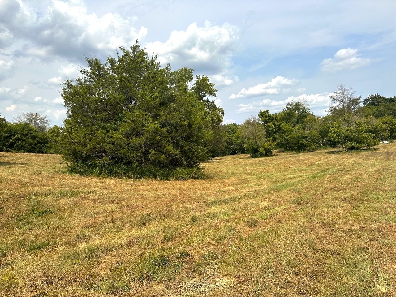1 Burgess Gower Road Springfield, TN 37172 - Photo 3 of 15