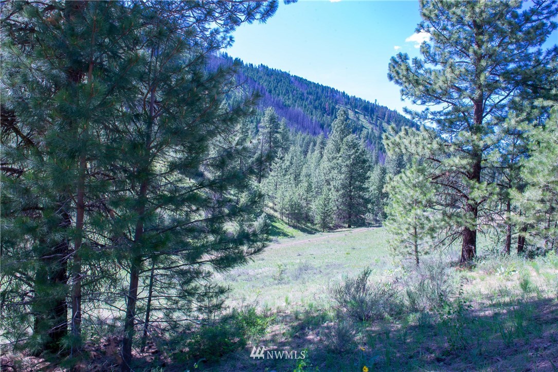 -na Na Elbow Coulee Road Twisp, WA 98856 - Photo 1 of 19 Gallery Image 1