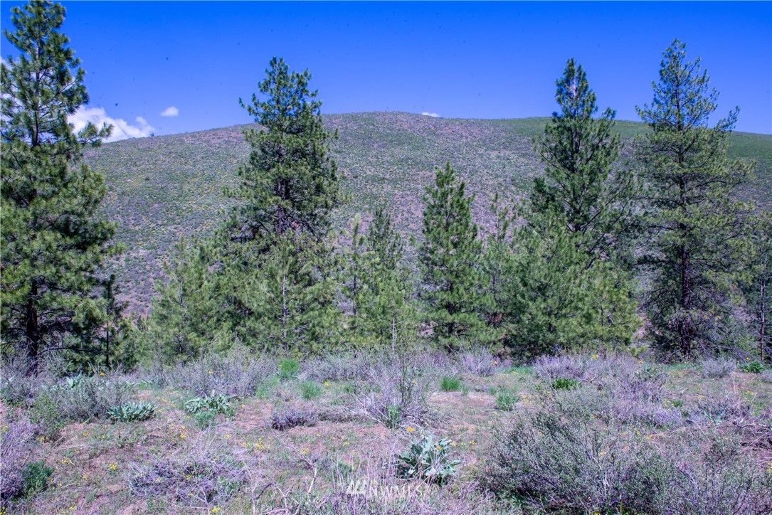 -na Na Elbow Coulee Road Twisp, WA 98856 - Photo 11 of 19 Gallery Image 11
