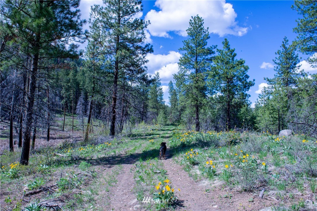-na Na Elbow Coulee Road Twisp, WA 98856 - Photo 12 of 19 Gallery Image 12
