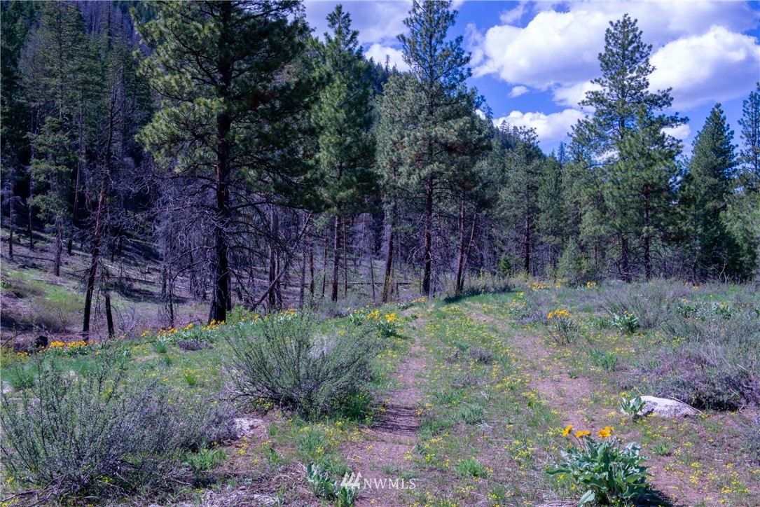 -na Na Elbow Coulee Road Twisp, WA 98856 - Photo 13 of 19 Gallery Image 13