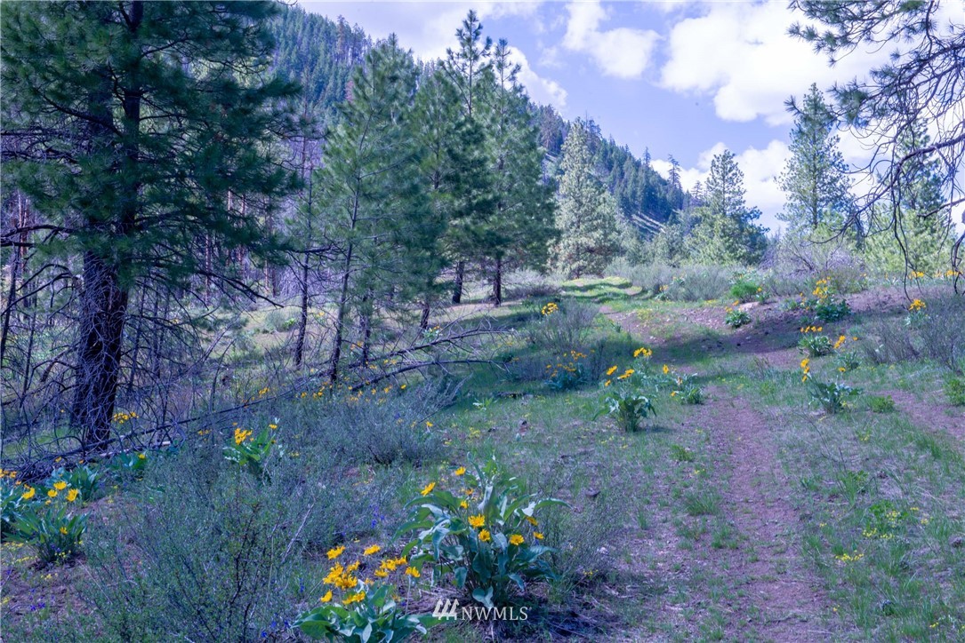 -na Na Elbow Coulee Road Twisp, WA 98856 - Photo 14 of 19 Gallery Image 14