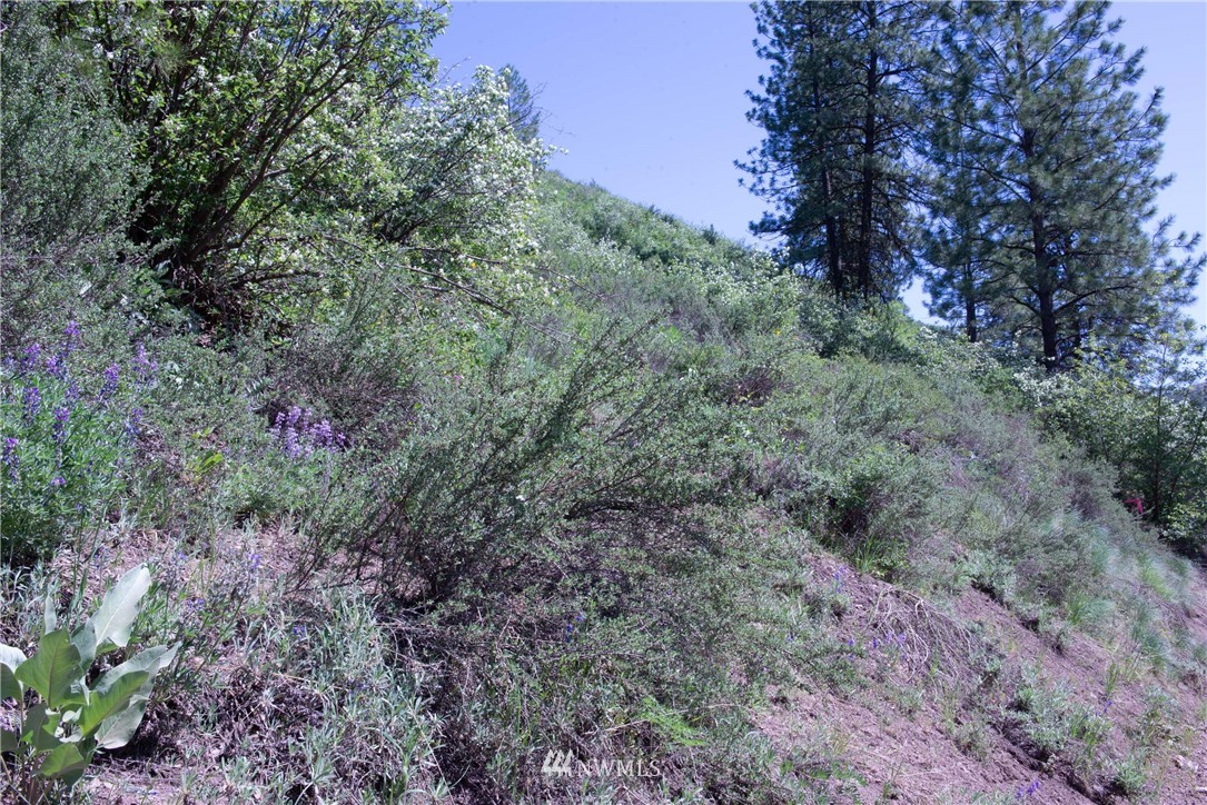 -na Na Elbow Coulee Road Twisp, WA 98856 - Photo 15 of 19 Gallery Image 15