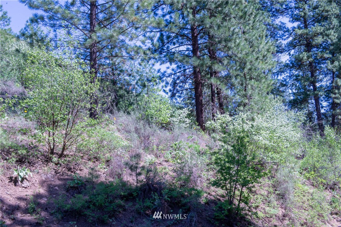 -na Na Elbow Coulee Road Twisp, WA 98856 - Photo 16 of 19 Gallery Image 16