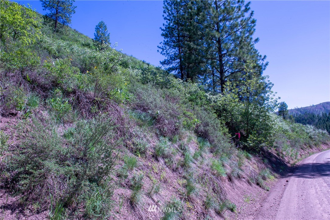 -na Na Elbow Coulee Road Twisp, WA 98856 - Photo 17 of 19 Gallery Image 17