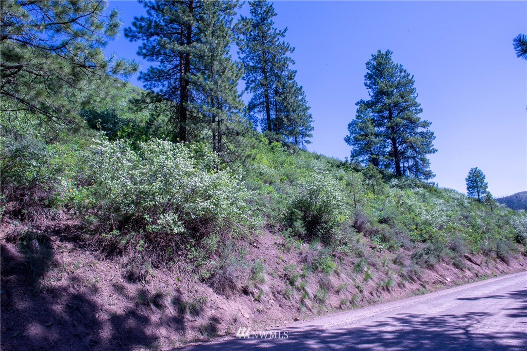-na Na Elbow Coulee Road Twisp, WA 98856 - Photo 18 of 19 Gallery Image 18