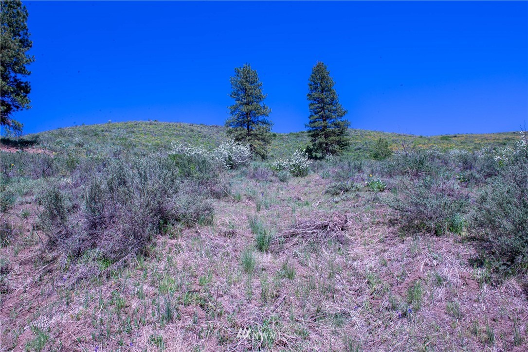-na Na Elbow Coulee Road Twisp, WA 98856 - Photo 19 of 19 Gallery Image 19