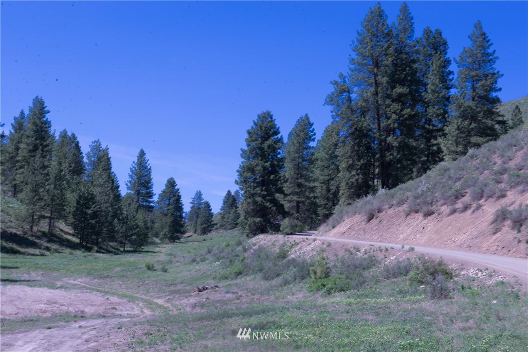 -na Na Elbow Coulee Road Twisp, WA 98856 - Photo 3 of 19 Gallery Image 3