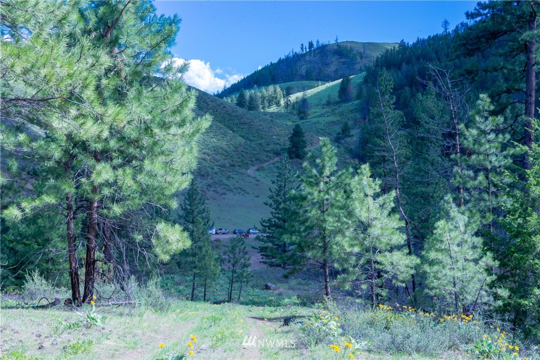 -na Na Elbow Coulee Road Twisp, WA 98856 - Photo 5 of 19 Gallery Image 5