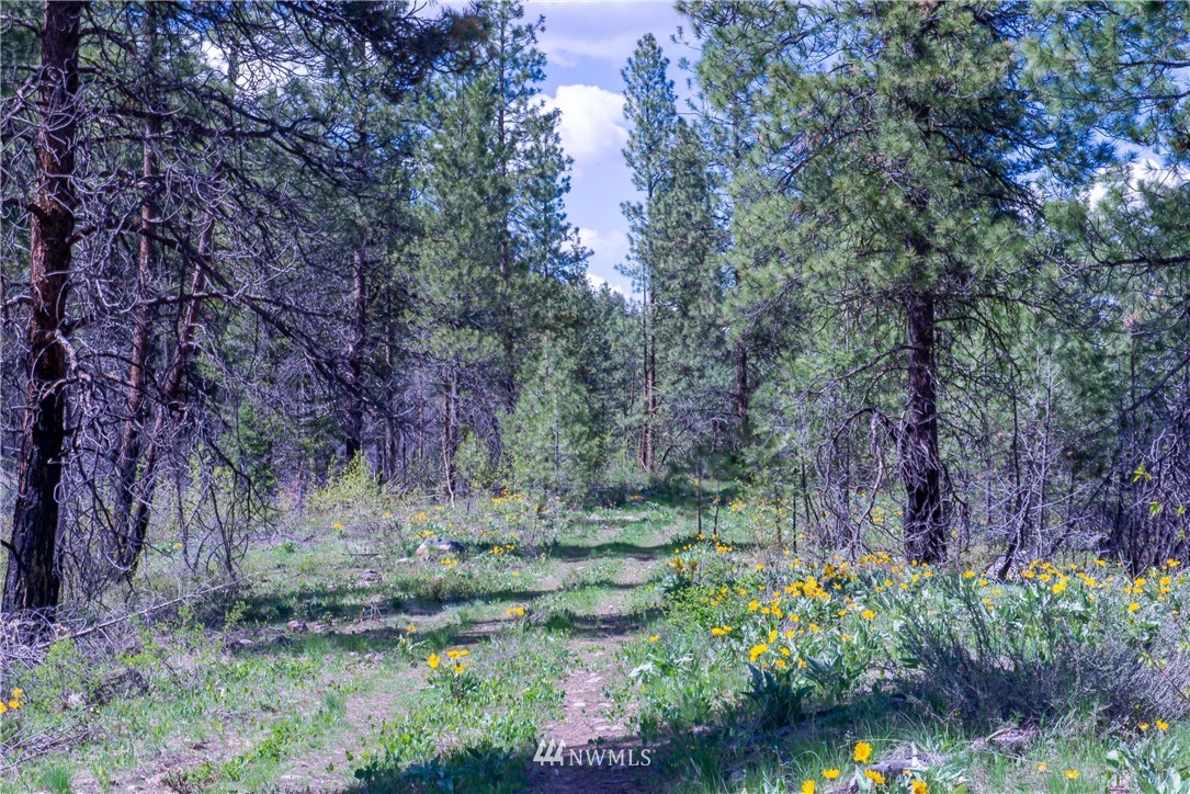 -na Na Elbow Coulee Road Twisp, WA 98856 - Photo 6 of 19 Gallery Image 6