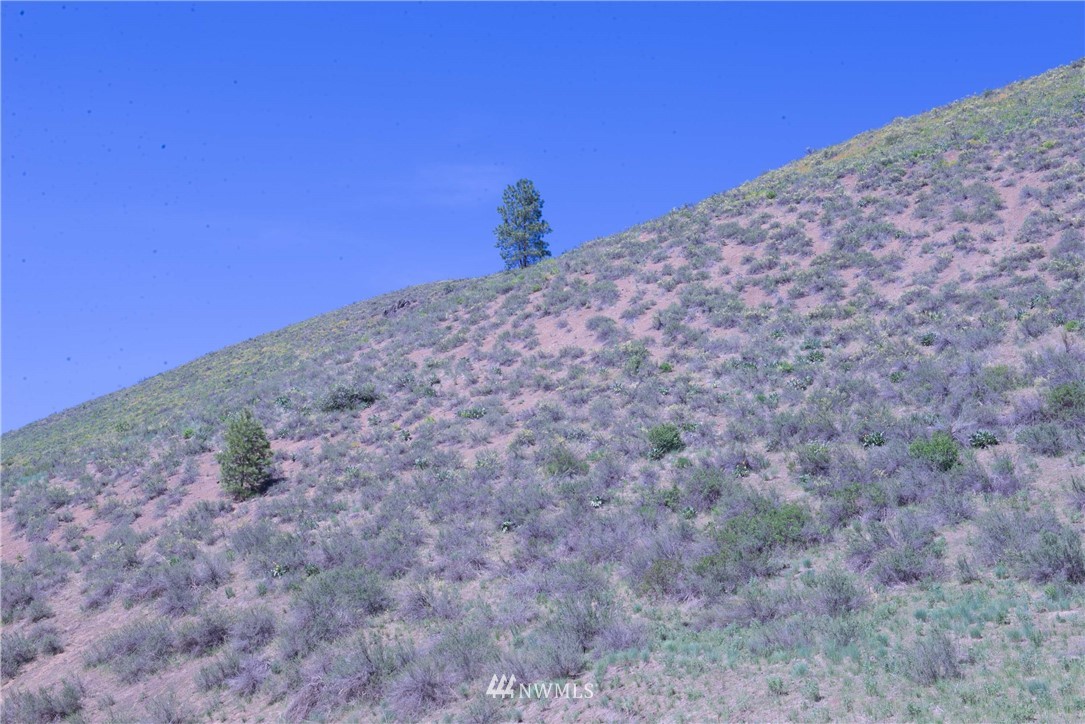 -na Na Elbow Coulee Road Twisp, WA 98856 - Photo 7 of 19 Gallery Image 7