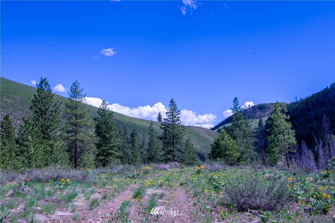 -na Na Elbow Coulee Road Twisp, WA 98856 - Photo 8 of 19 Gallery Image 8
