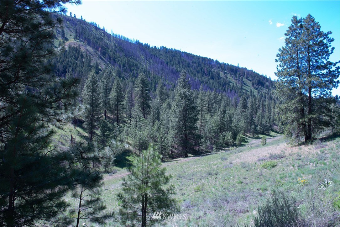 -na Na Elbow Coulee Road Twisp, WA 98856 - Photo 9 of 19 Gallery Image 9