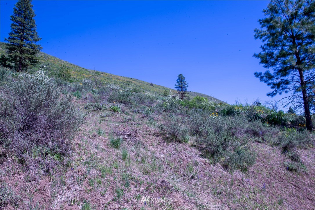 -na Na Elbow Coulee Road Twisp, WA 98856 - Photo 10 of 19 Gallery Image 10