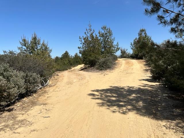15600 Summit Road Morgan Hill, CA 95037 - Photo 11 of 21 Gallery Image 11