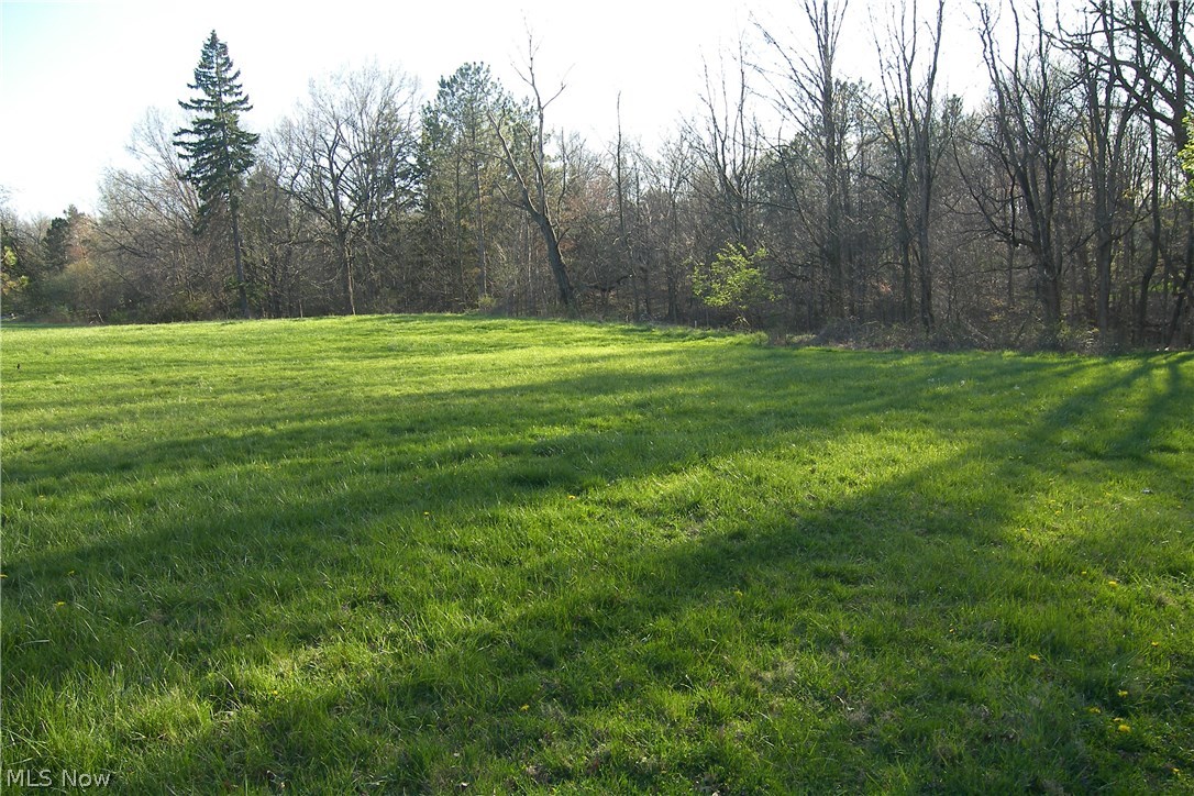 150 Brush Road Cleveland, OH 44143 - Photo 3 of 11 Gallery Image 3