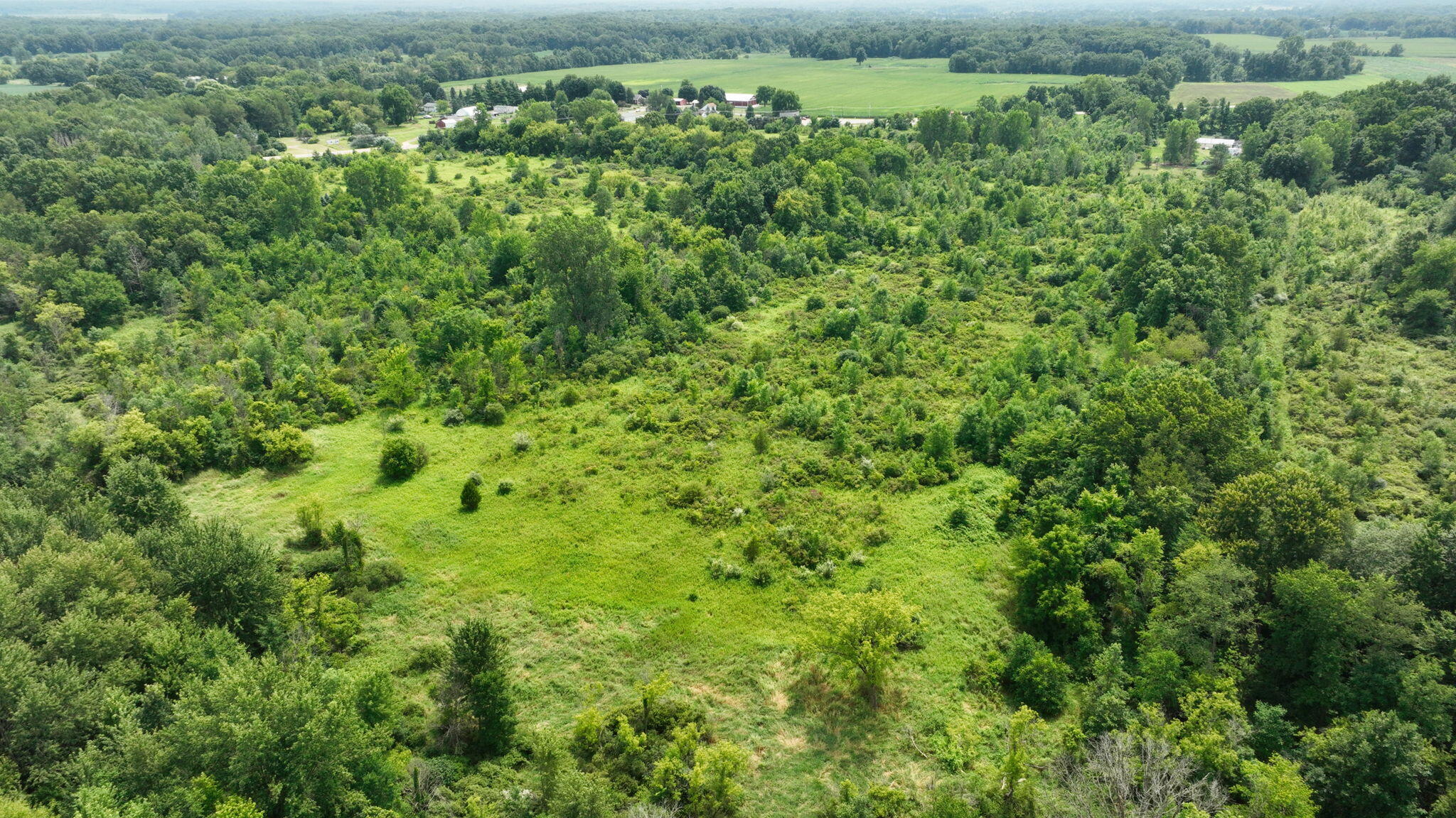 Bunkerhill Road Jackson, MI 49201 - Photo 31 of 34 31-web-or-mls-DJI_0414