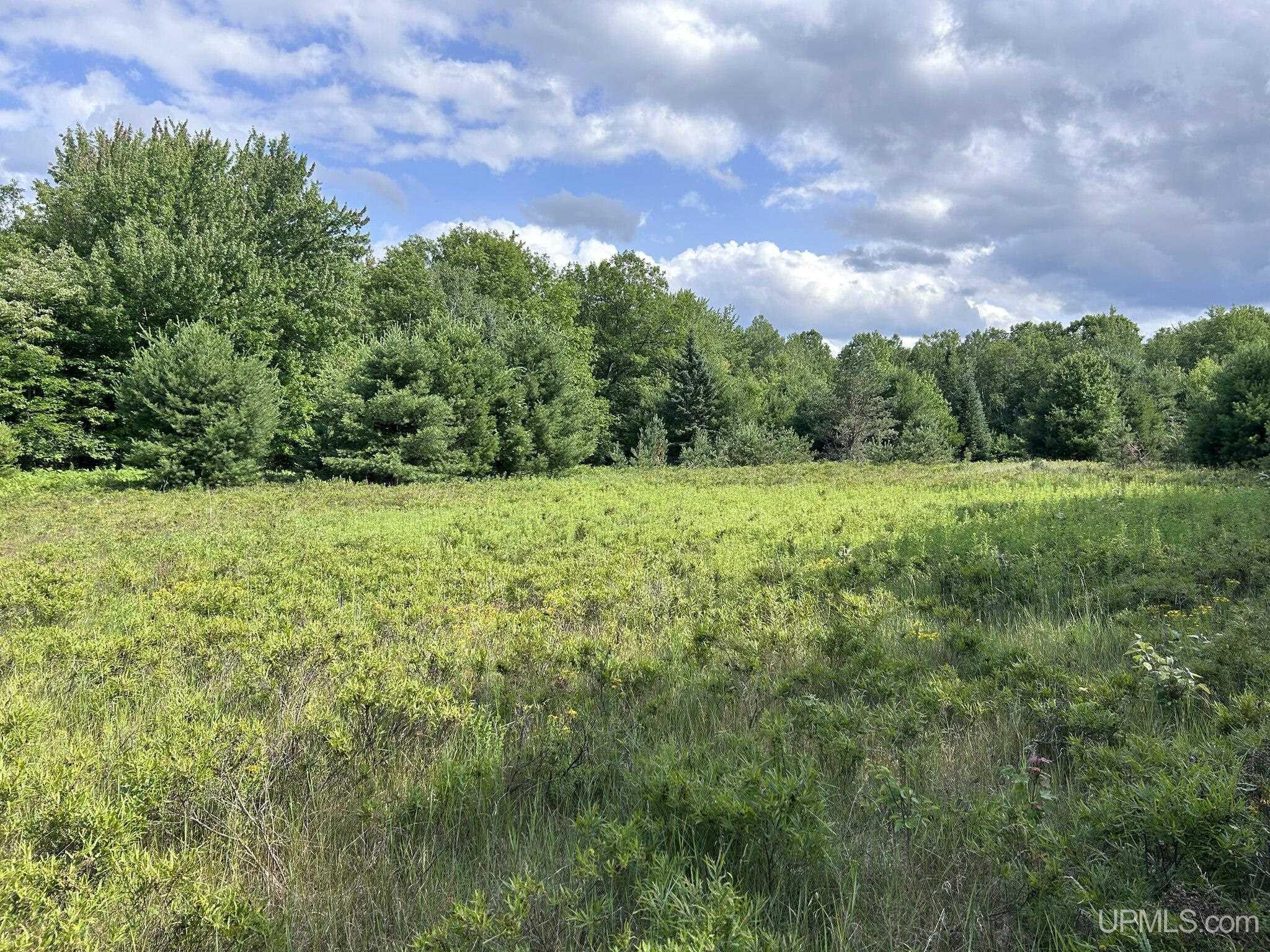 T-wi Wi 54119 Road Dunbar, WI 54119 - Photo 8 of 9