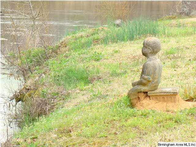 121 Fox Rdg Court Weogufka, AL 35183 - Photo 20 of 20