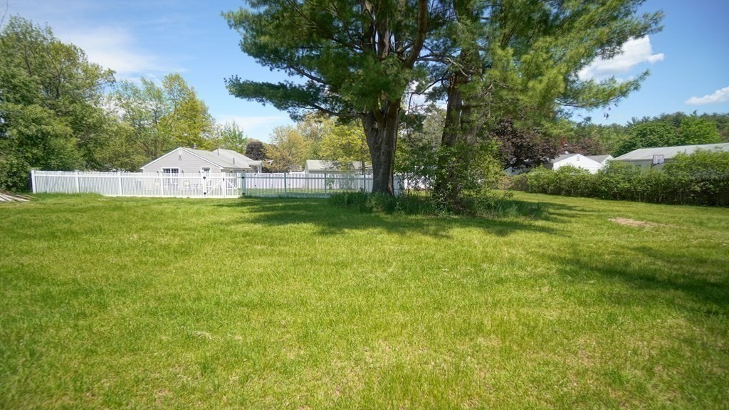 245 Fair Oak Road Springfield, MA 01128 - Photo 32 of 37 a backyard of a house with plants and large trees