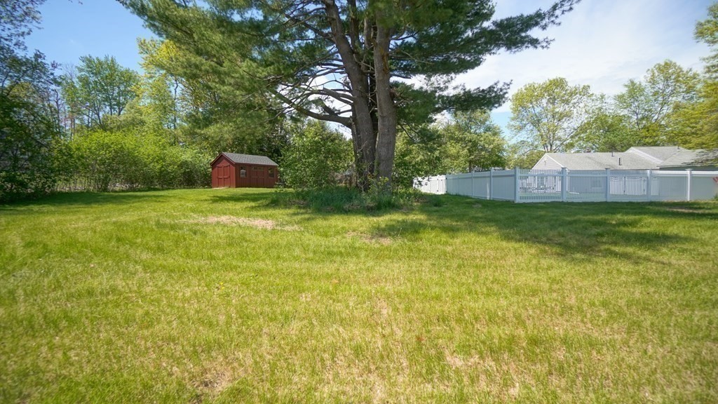 245 Fair Oak Road Springfield, MA 01128 - Photo 33 of 37 a backyard of a house with plants and large trees