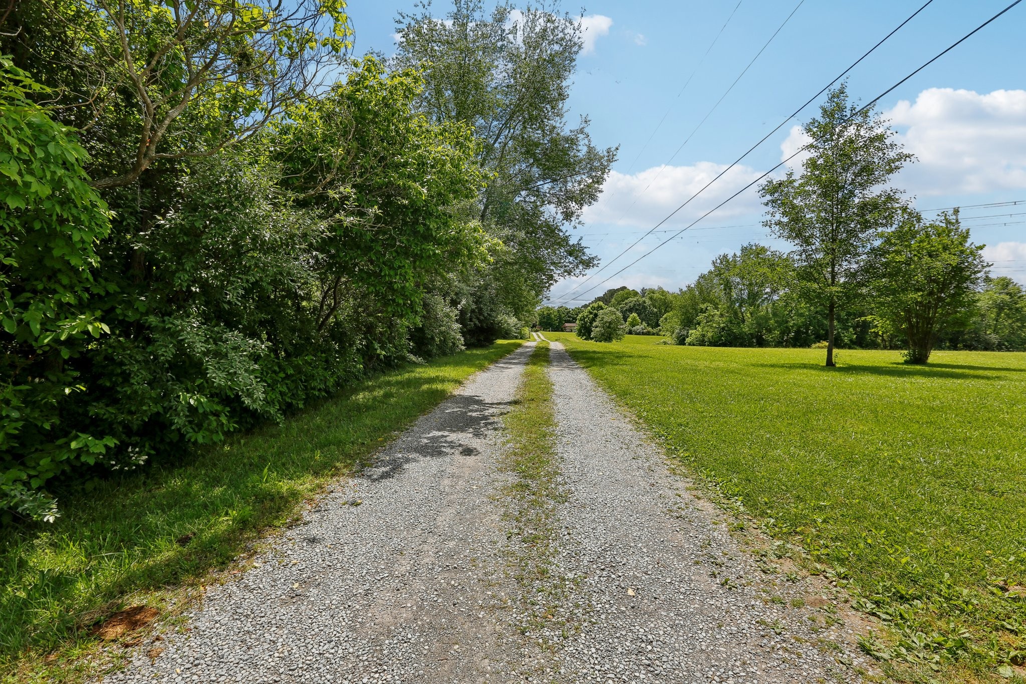 3132 Old New Cut Road Springfield, TN 37172 - Photo 2 of 52 Gallery Image 2