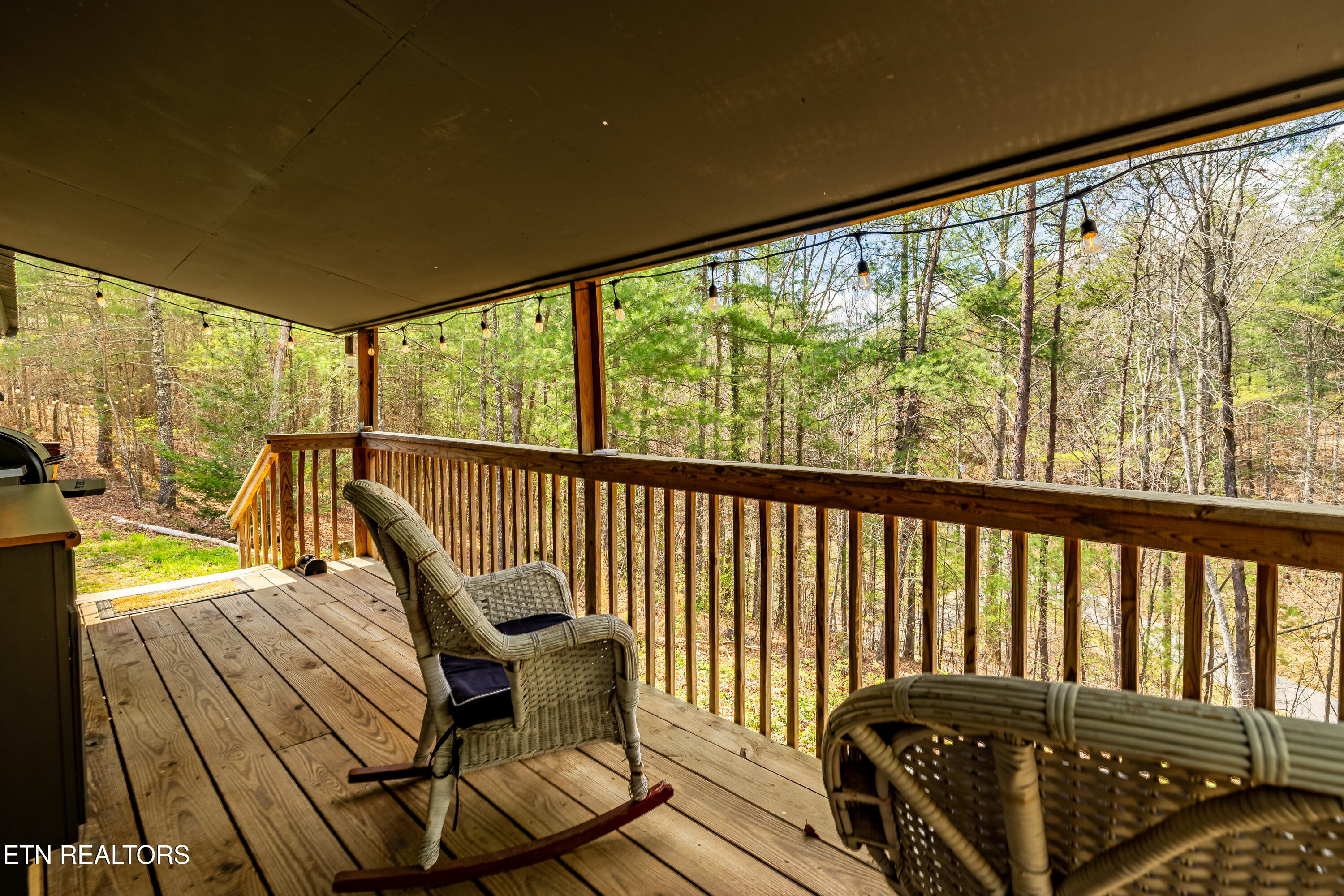 1700 Rafter Road Tellico Plains, TN 37385 - Photo 8 of 60 1700RafterRd-81