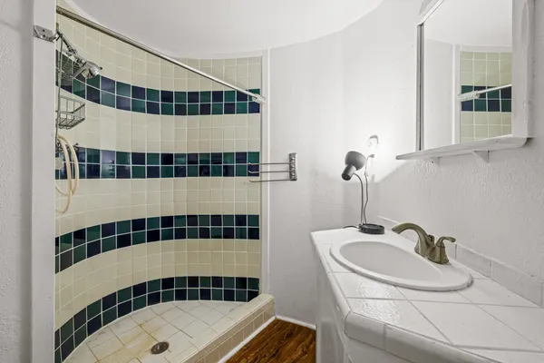 a bathroom with a sink and a shower