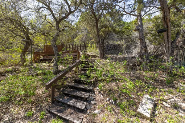 a view of a yard with plants and trees