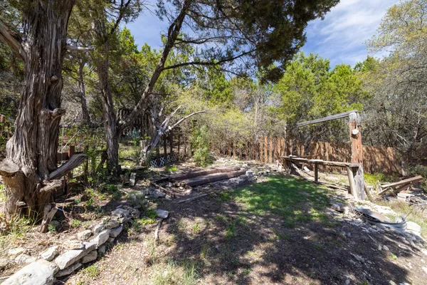a view of a tree in the middle of a yard