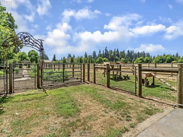 a view of a garden with wooden fence