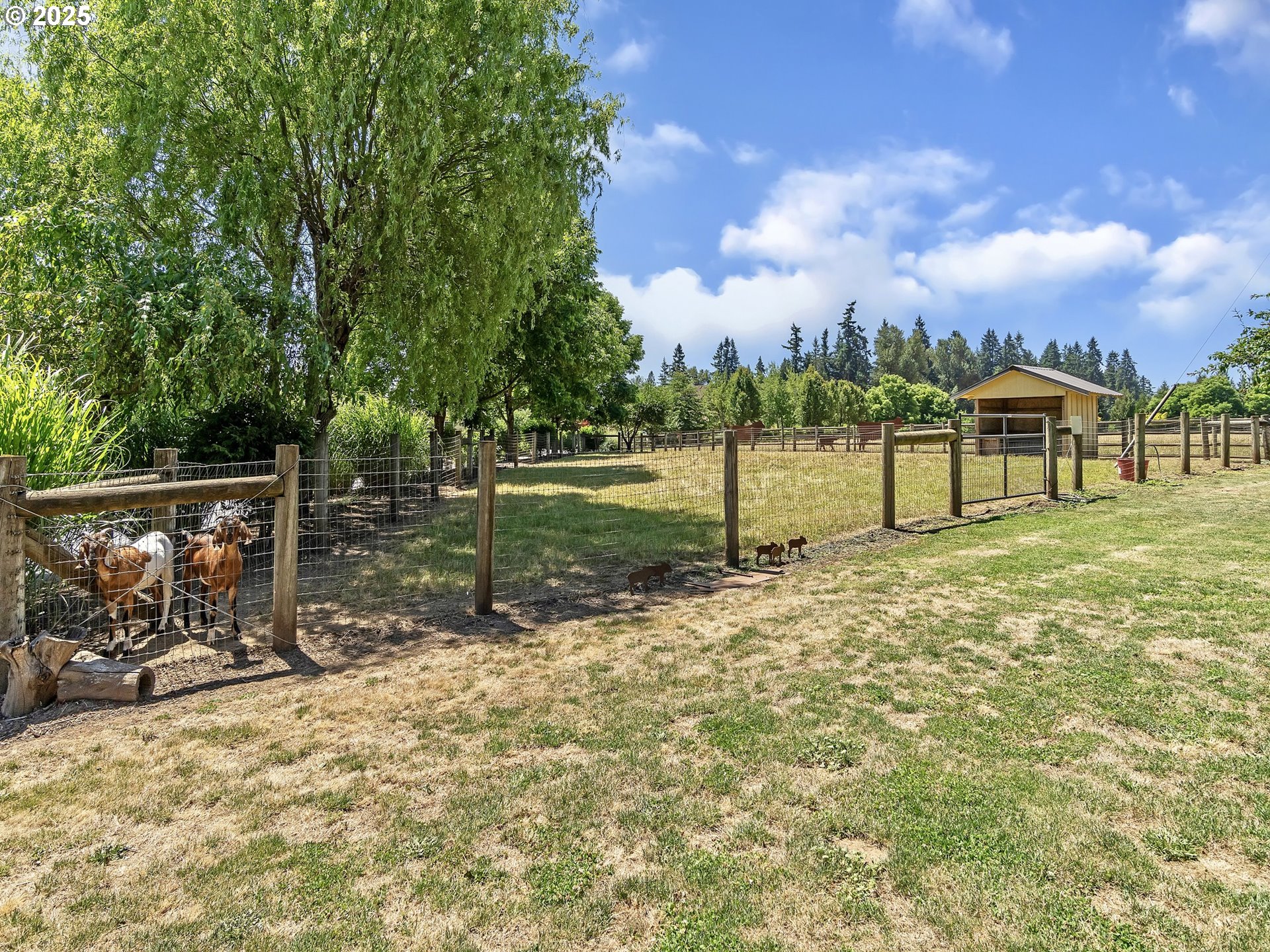 13424 Ehlen Road Northeast Aurora, OR 97002 - Photo 41 of 48 a view of a park with swings