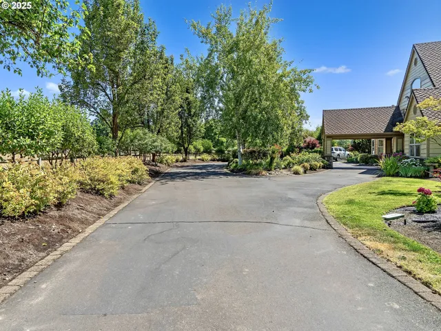 a view of a backyard with plants and a tree