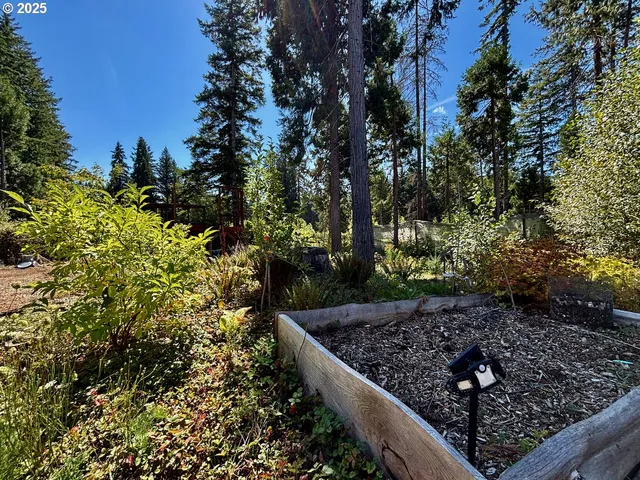 $349,000 | 44989 McKenzie Highway, Leaburg, OR 97489