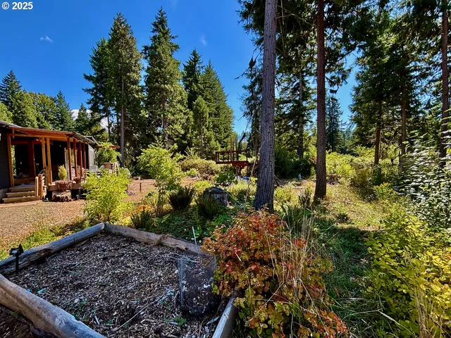 $349,000 | 44989 McKenzie Highway, Leaburg, OR 97489