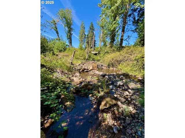 $349,000 | 44989 McKenzie Highway, Leaburg, OR 97489