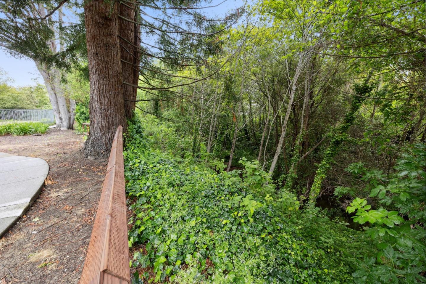 1287 Rosita Road Pacifica, CA 94044 - Photo 54 of 76 a view of a garden with plants