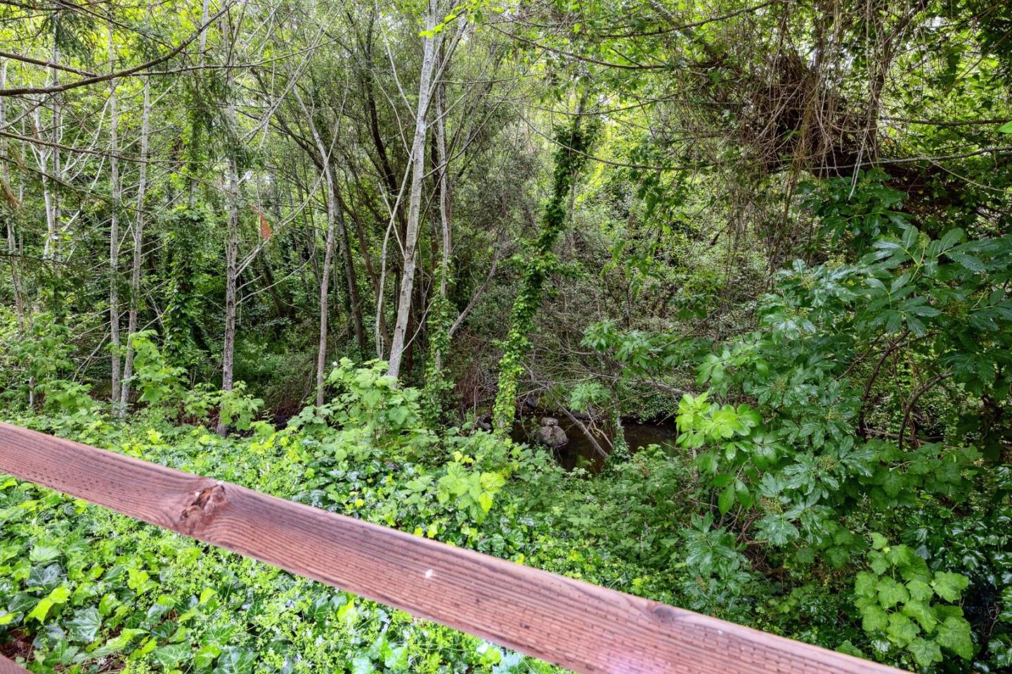 1287 Rosita Road Pacifica, CA 94044 - Photo 10 of 76 a view of a garden with a tree