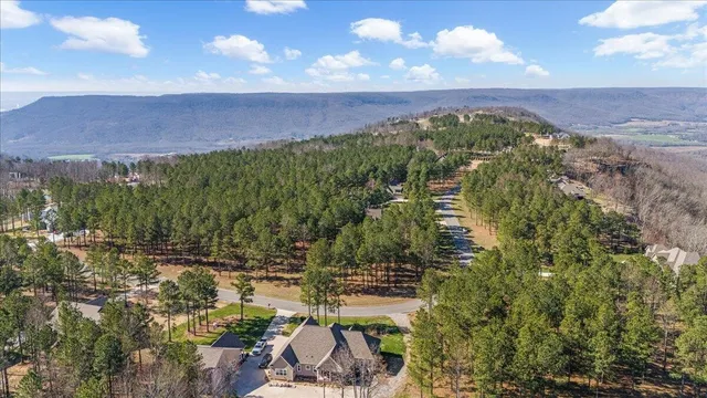 a view of a city with lush green forest