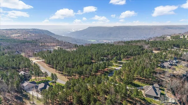 a view of yard with swimming pool and trees