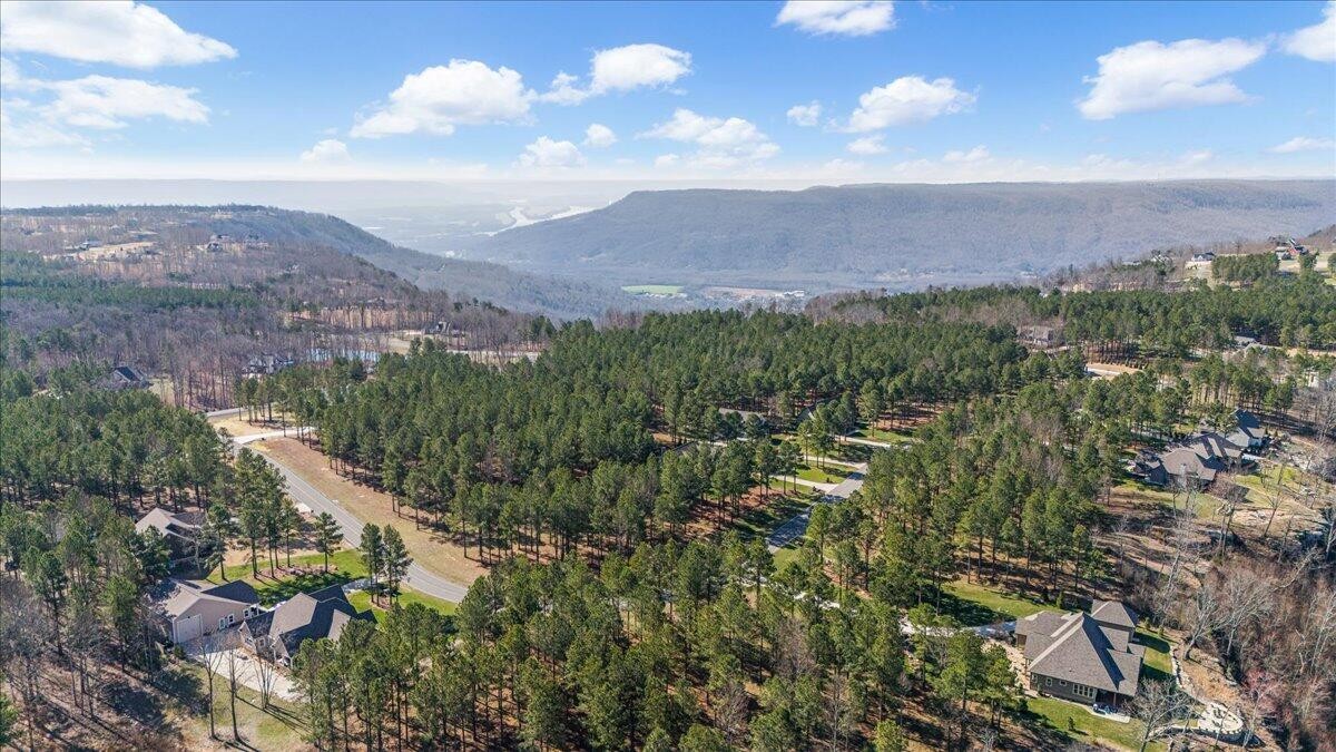 950 Cumberland Circle Jasper, TN 37347 - Photo 12 of 22 a view of a city with lush green forest