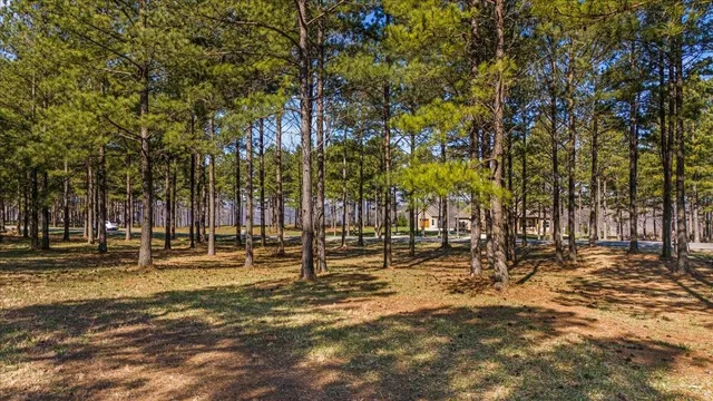 a view of a yard with large trees