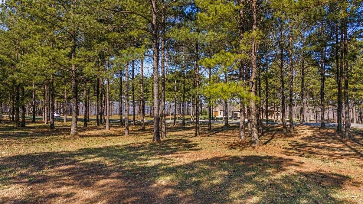 950 Cumberland Circle Jasper, TN 37347 - Photo 5 of 22 a view of road with trees