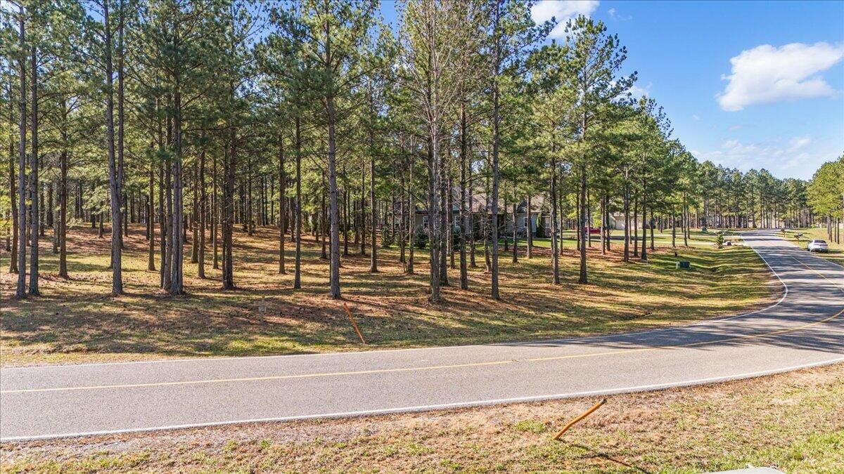 950 Cumberland Circle Jasper, TN 37347 - Photo 6 of 22 a view of a yard with large trees