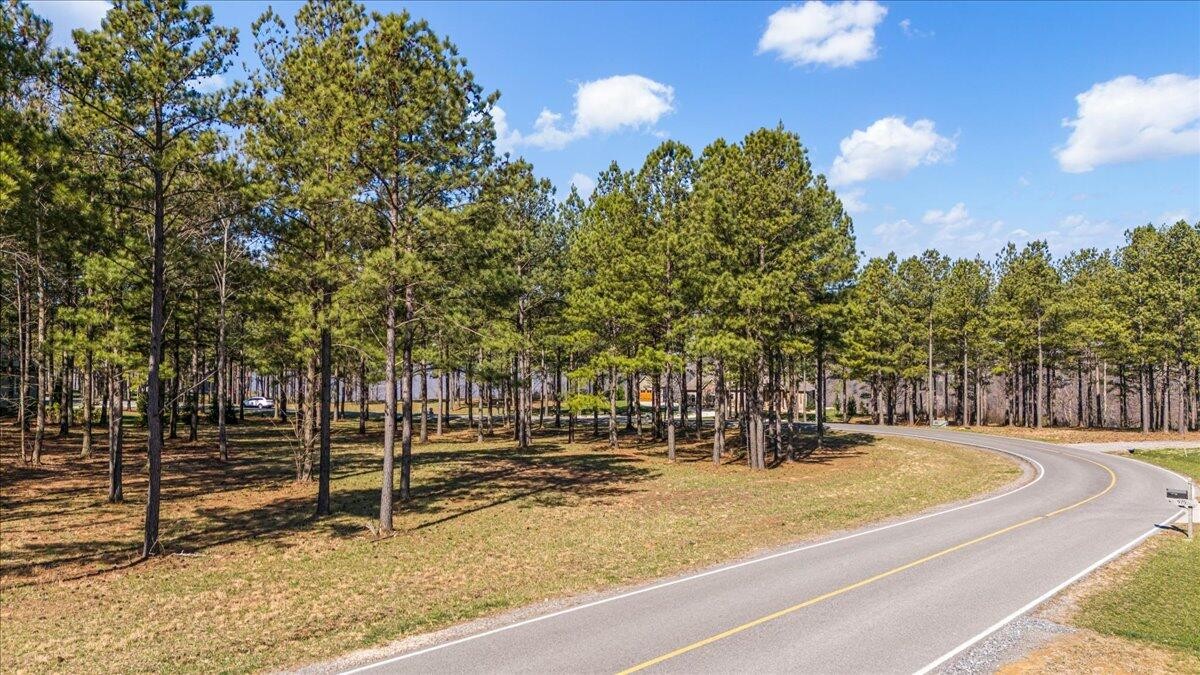 950 Cumberland Circle Jasper, TN 37347 - Photo 7 of 22 a view of a park with of trees