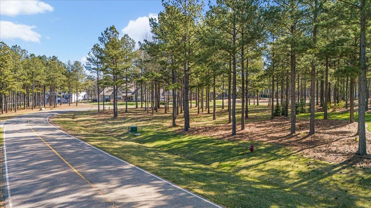 950 Cumberland Circle Jasper, TN 37347 - Photo 8 of 22 a view of yard with swimming pool and trees
