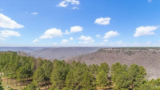 a view of a yard in a field