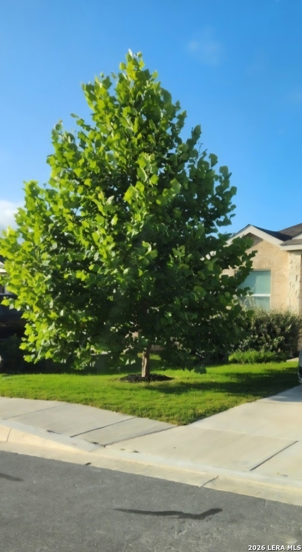 5781 Companion Loop Bulverde, TX 78163 - Photo 21 of 21 a view of a golf course