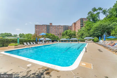 a view of a swimming pool with a garden and trees
